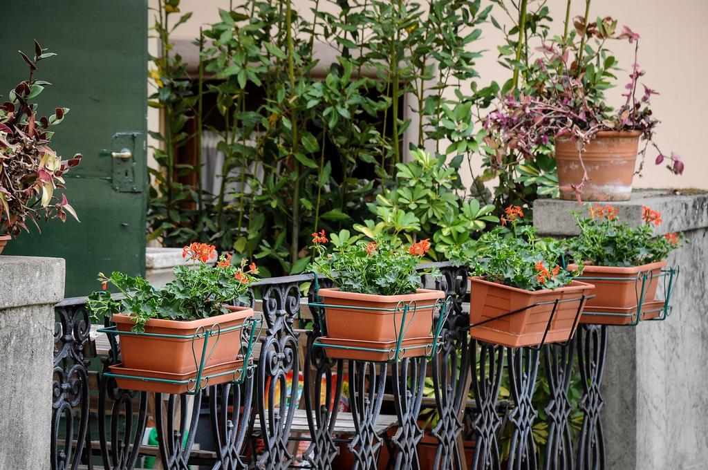 Residenza Betta Bed & Breakfast Florence Exterior photo